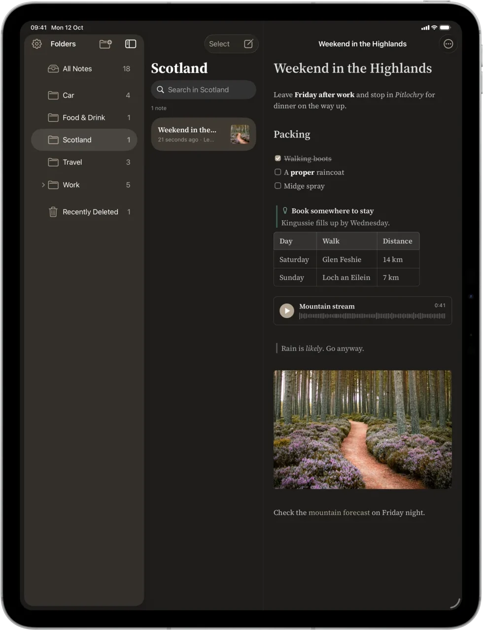 The same note on an iPad Pro in dark mode.